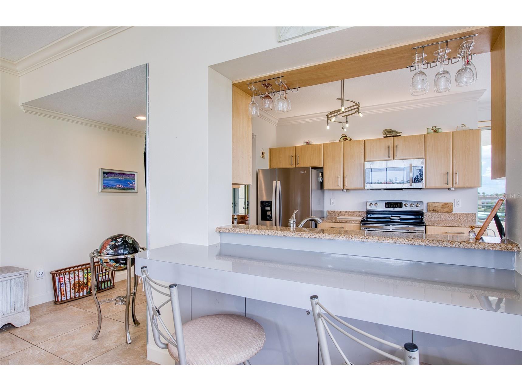 7974 Sailboat Key Boulevard S #301 South Pasadena FL 33707 TB8518361 image14