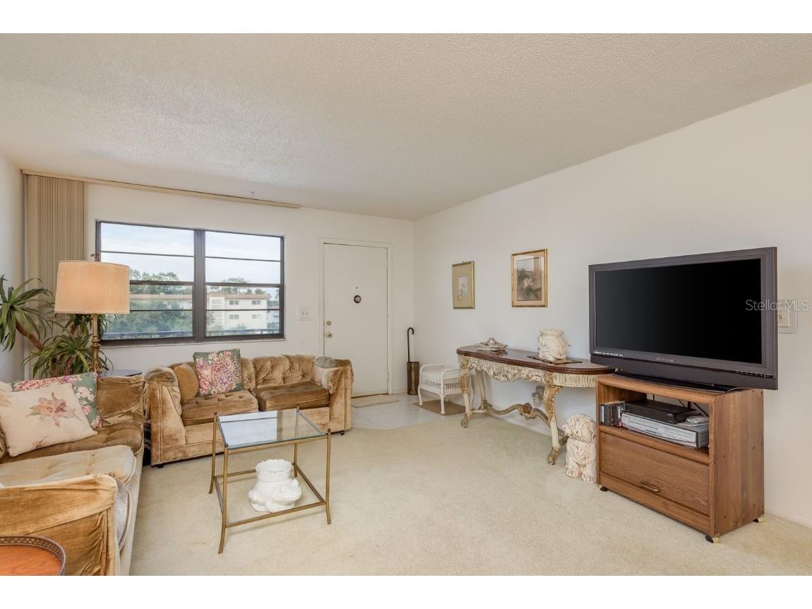 7975 58th Avenue N #403 Saint Petersburg FL 33709 TB8407555 image11