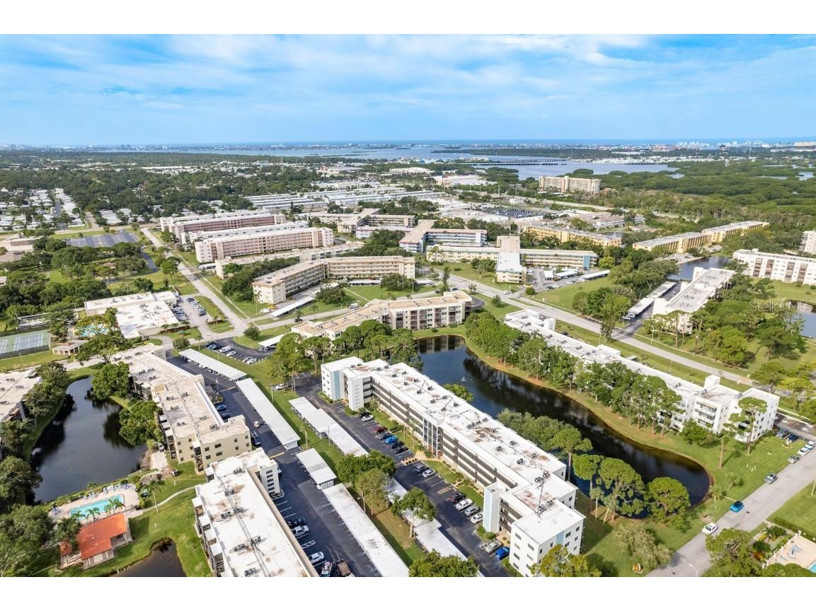 7975 58th Avenue N #403 Saint Petersburg FL 33709 TB8407555 image44