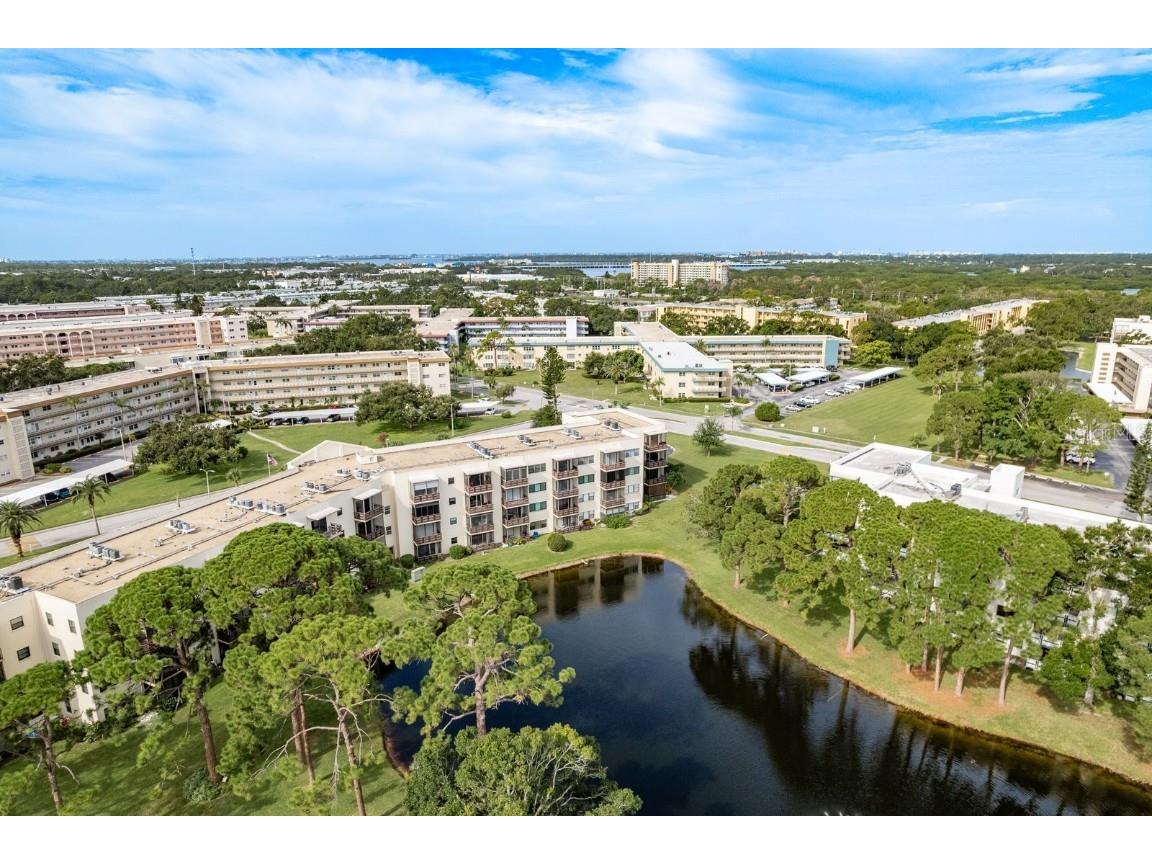 7975 58th Avenue N #403 Saint Petersburg FL 33709 TB8407555 image45