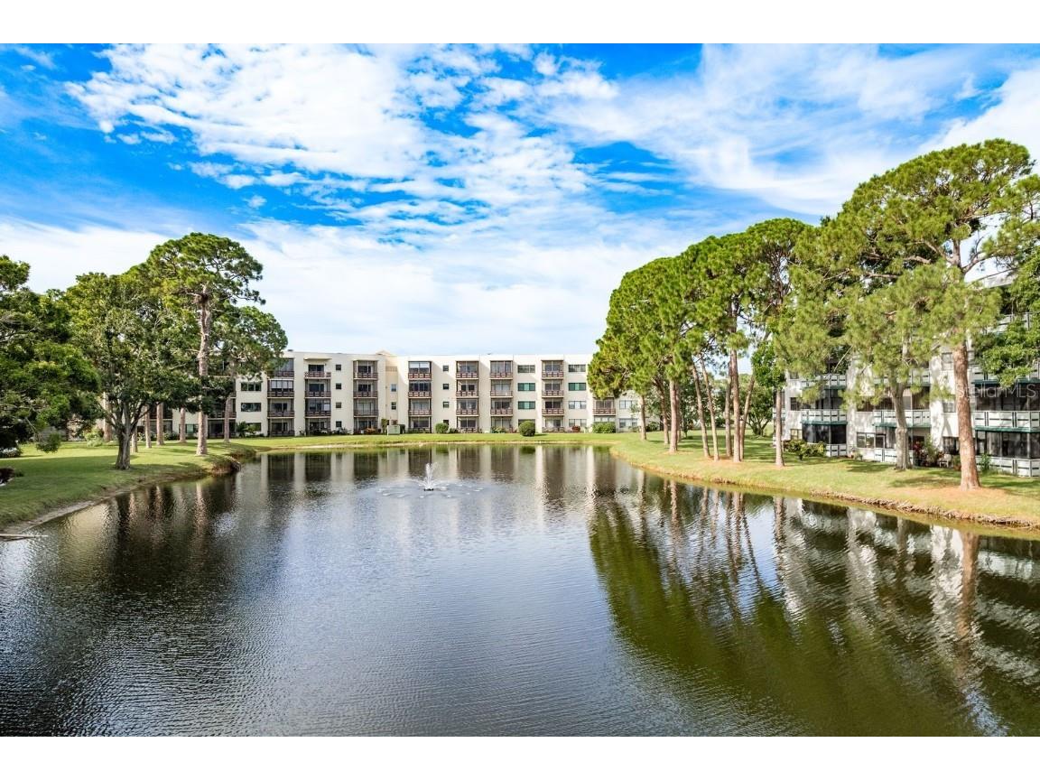 7975 58th Avenue N #403 Saint Petersburg FL 33709 TB8407555 image47