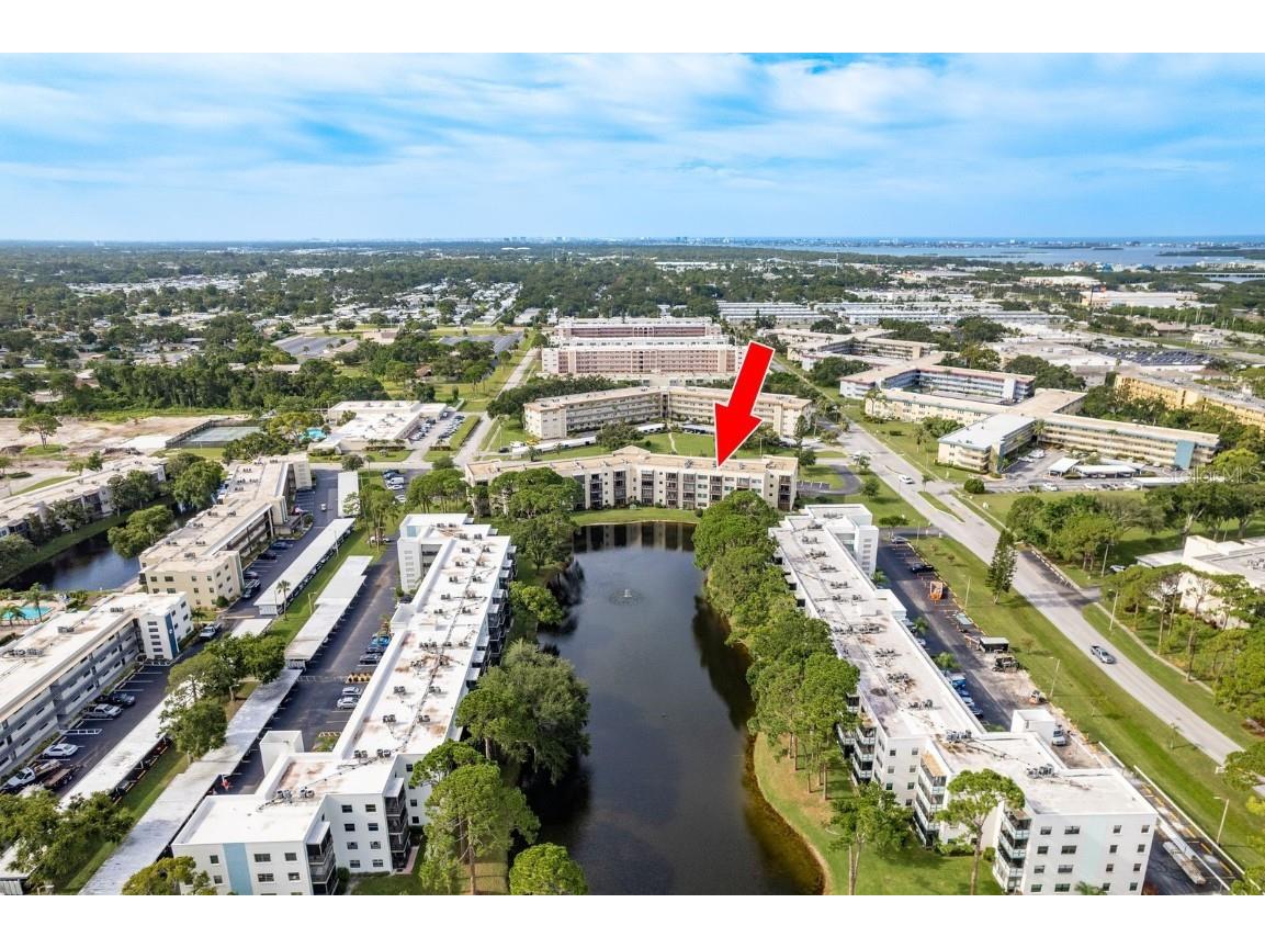 7975 58th Avenue N #403 Saint Petersburg FL 33709 TB8407555 image5