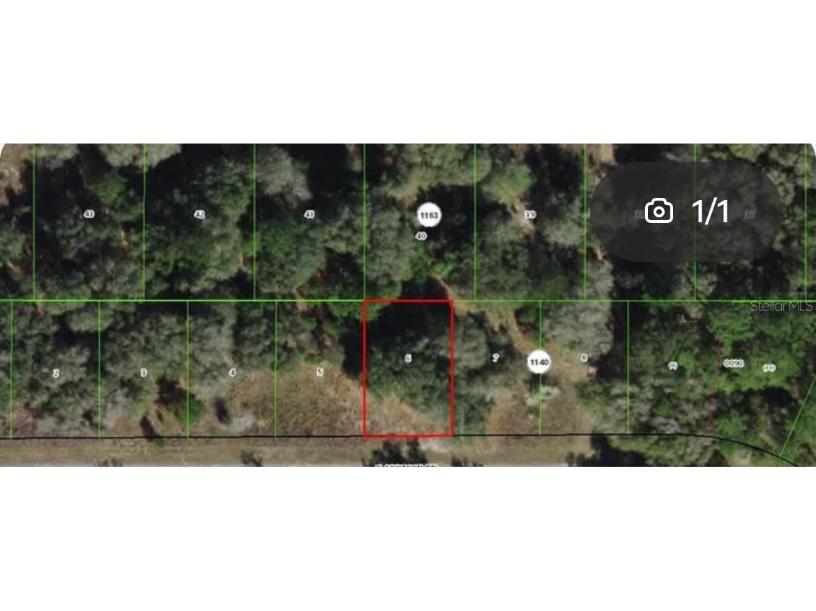 7977 N Addison Road Dunnellon FL 34434 J976741 image1