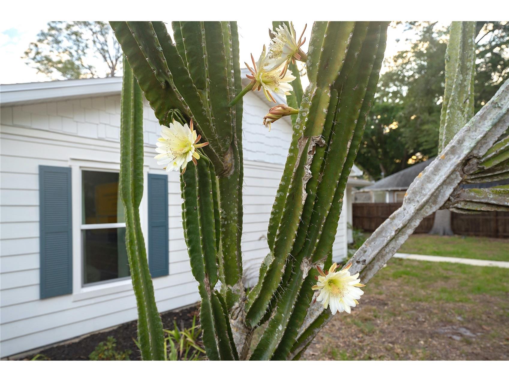 7979 48th Avenue N Saint Petersburg FL 33709 TB8506677 image30