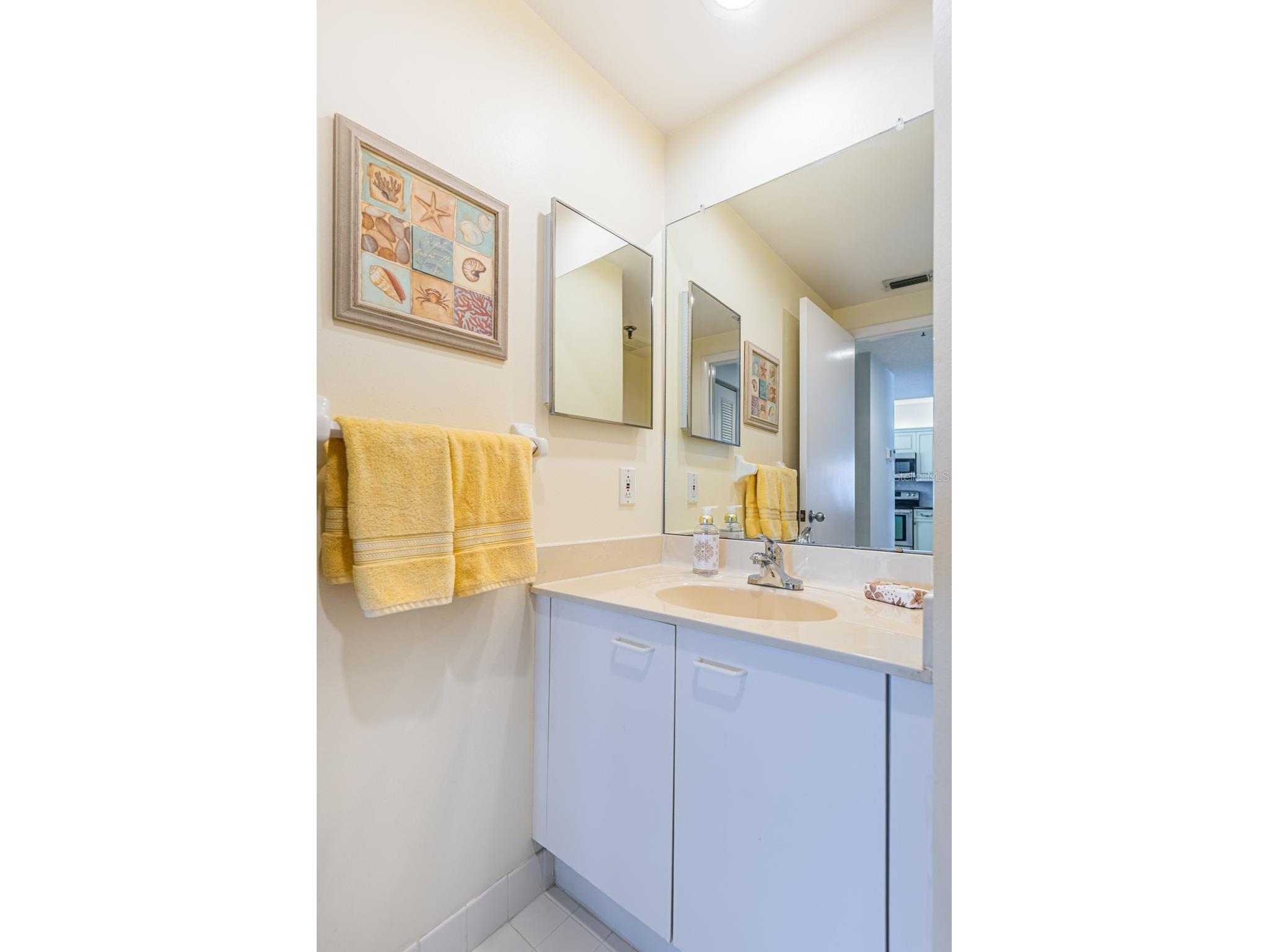 7979 Sailboat Key Boulevard S #205 South Pasadena FL 33707 - BOCA CIEGA BAY TB8490345 image29