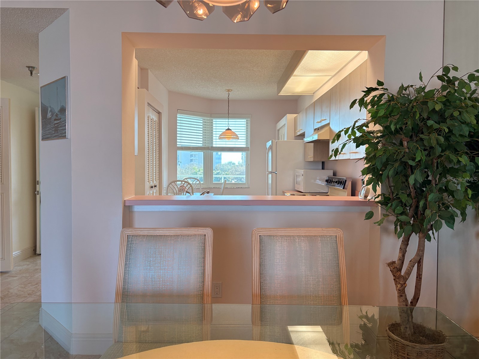 7979 Sailboat Key Boulevard S #306 South Pasadena FL 33707 TB8473232 image15