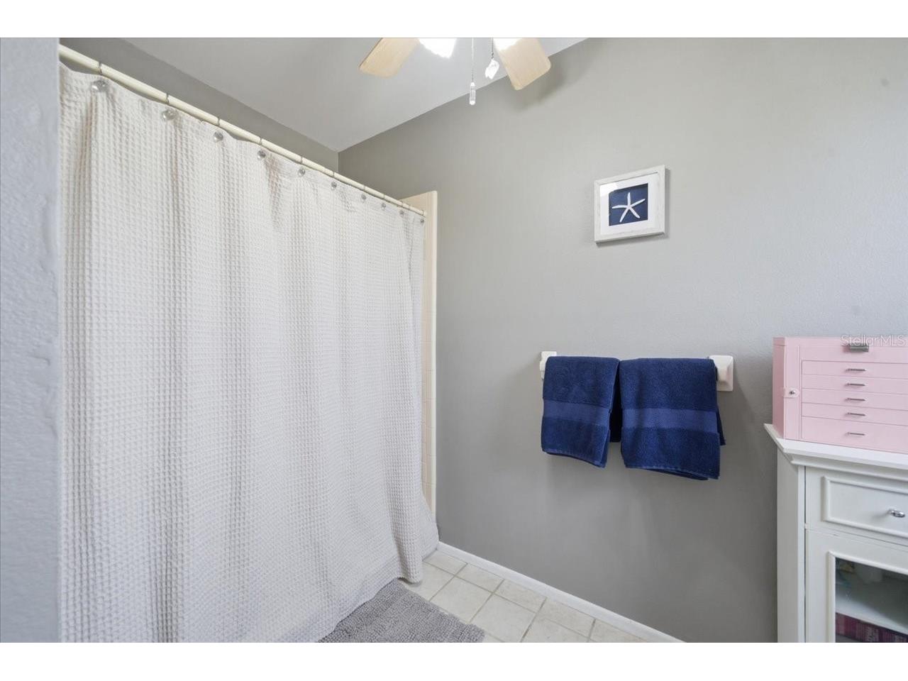 798 Countryshire Lane Palm Harbor FL 34683 TB8508192 image43