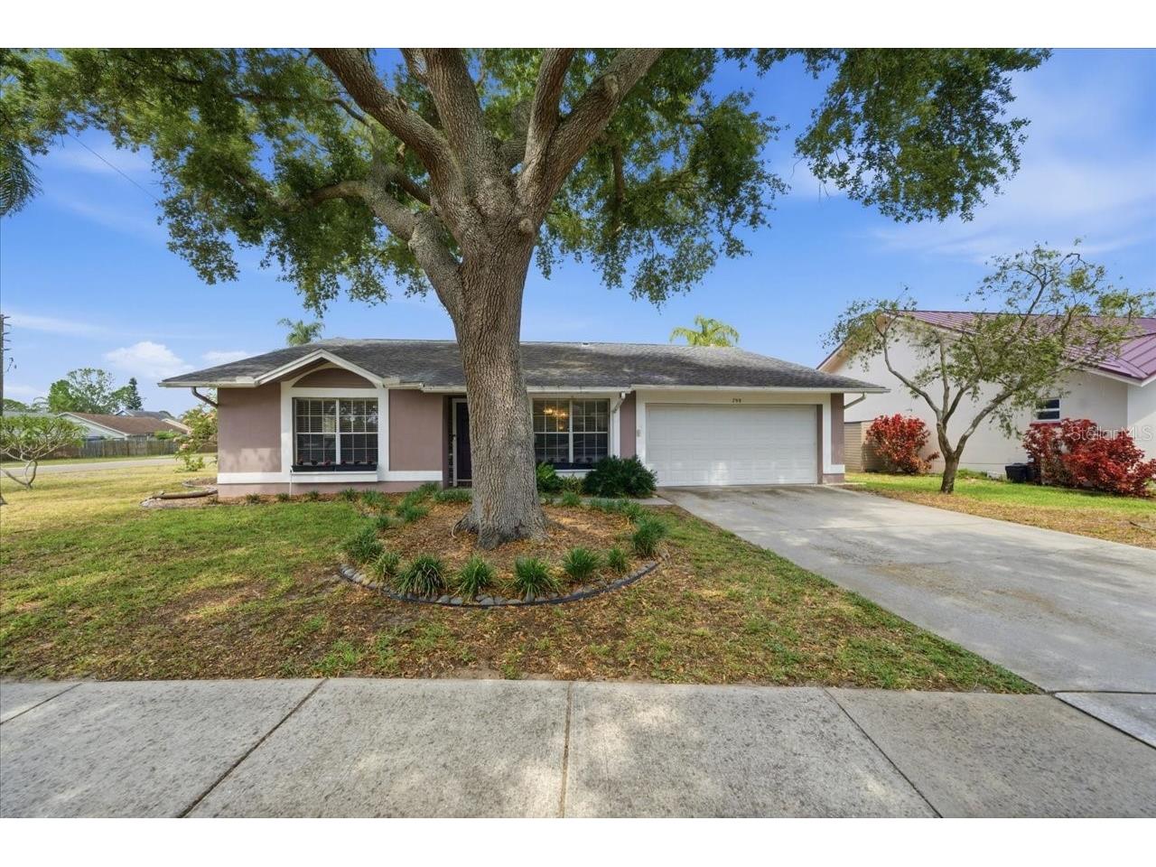 798 Countryshire Lane Palm Harbor FL 34683 TB8508192 image7
