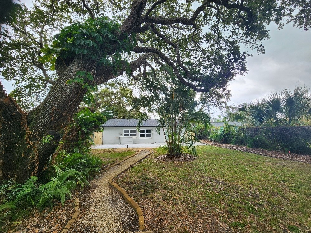 798 E 11th Avenue New Smyrna Beach FL 32169 NS1086849 image18