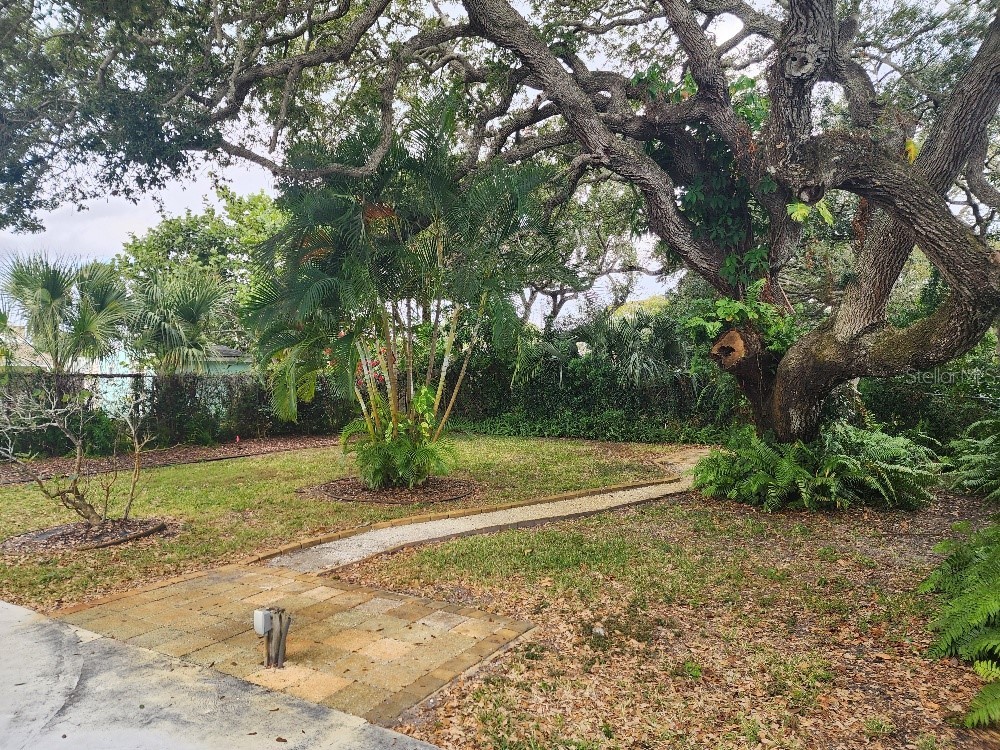 798 E 11th Avenue New Smyrna Beach FL 32169 NS1086849 image19