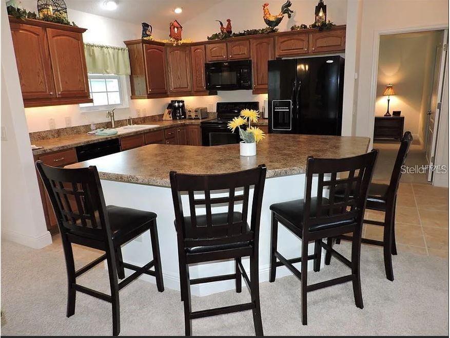 798 Journey Lane The Villages FL 32163 OM721946 image4