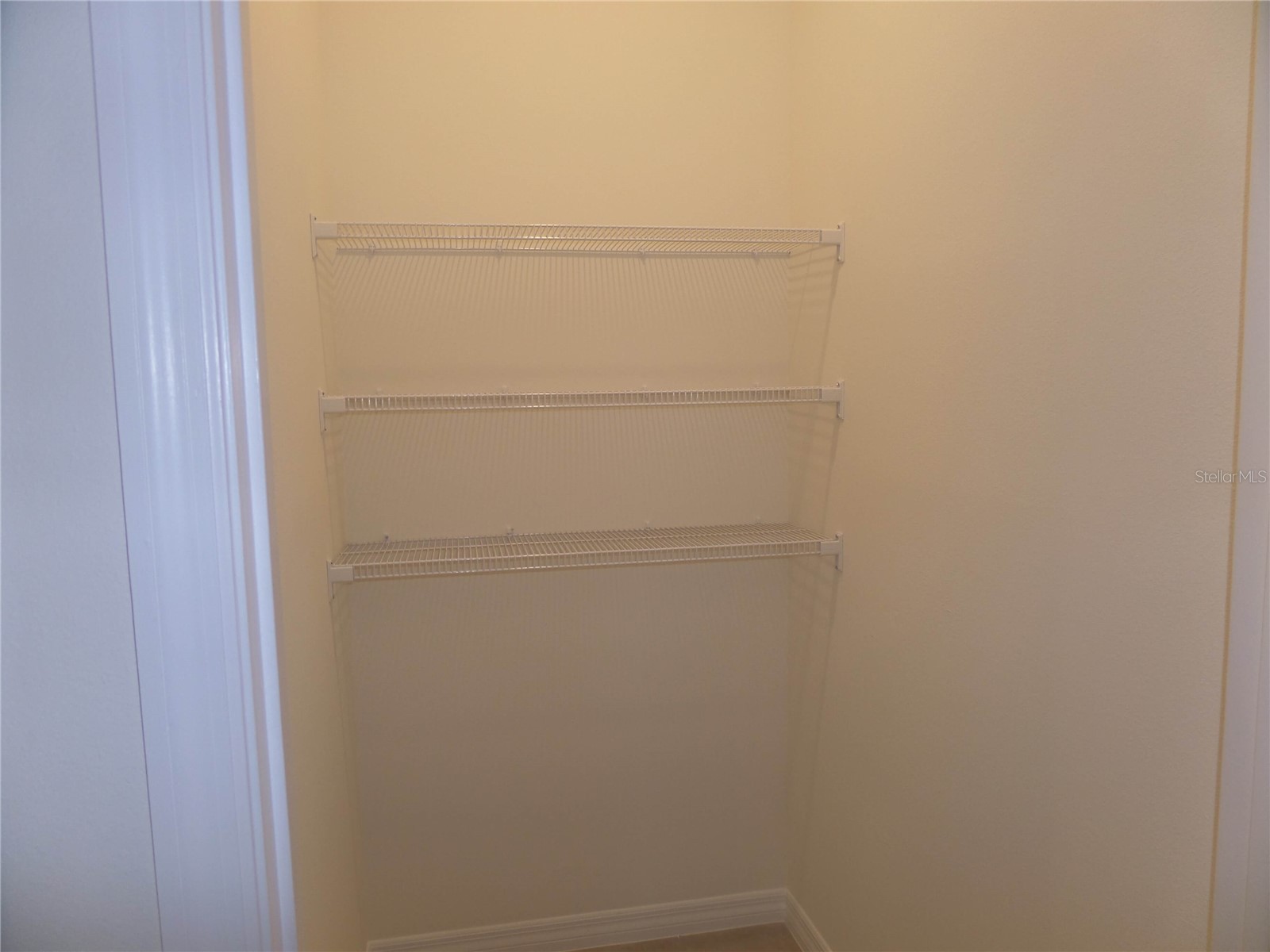 7980 Penrose Place Wildwood FL 34785 O6413018 image18
