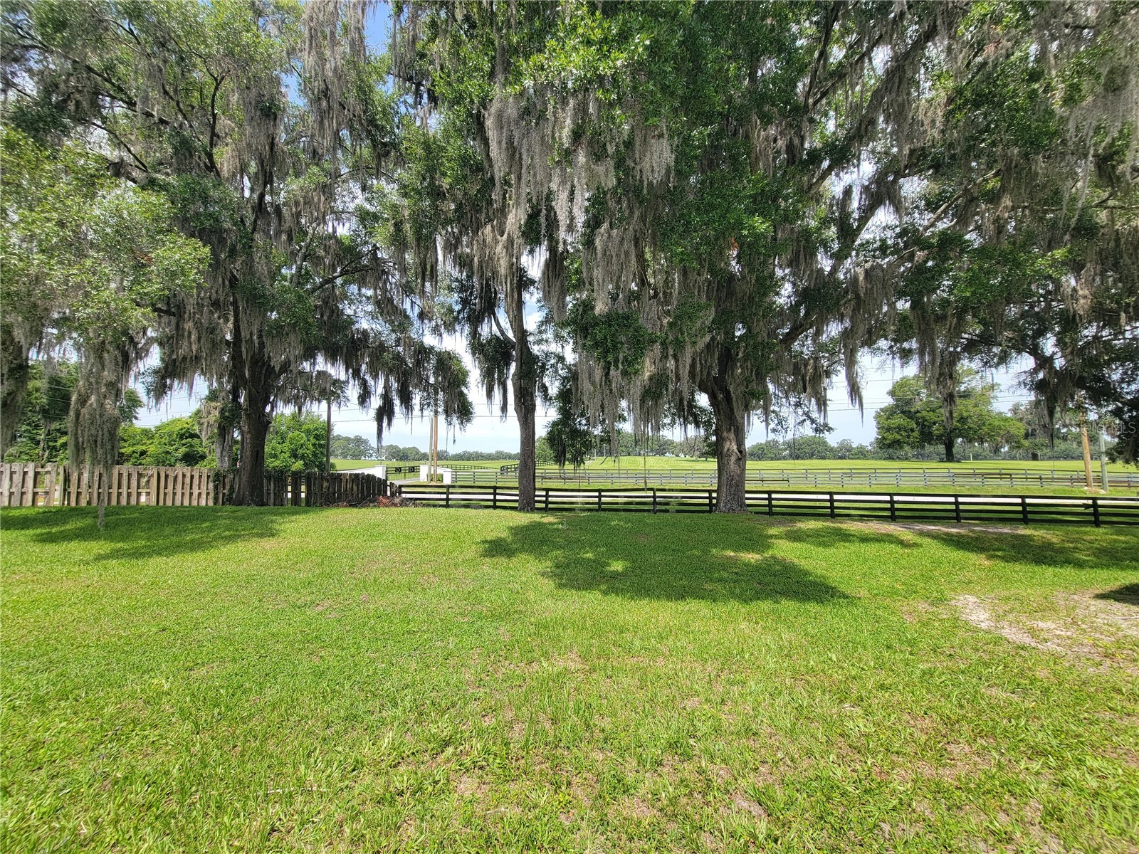 7980 SW 7th Place Ocala FL 34474 OM725975 image20