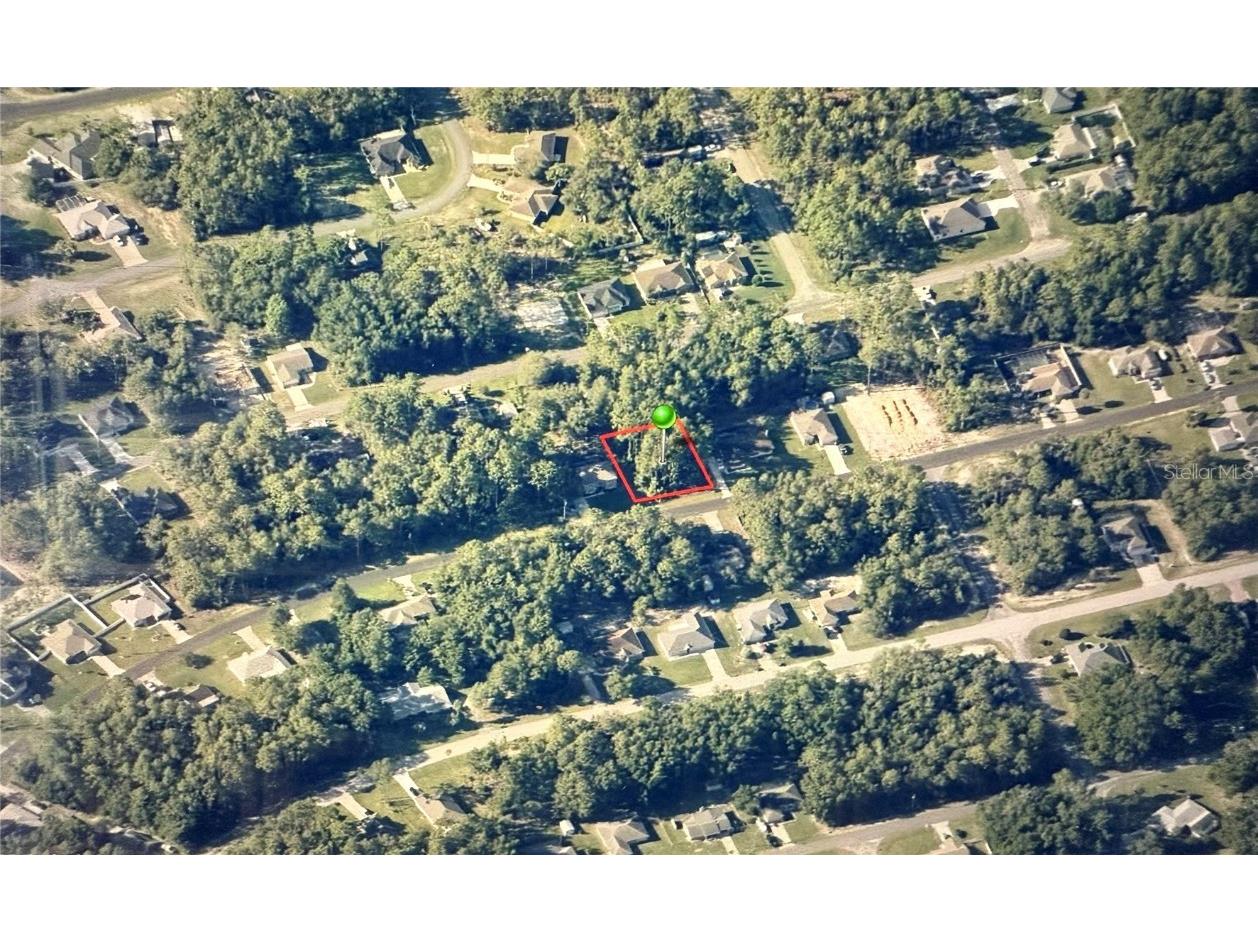 7981 N Sarazen Drive Citrus Springs FL 34434 OM716177 image1