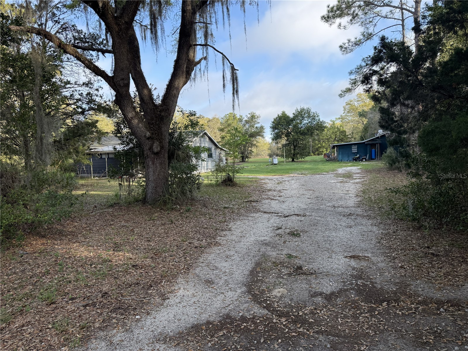 7981 SE 126th Place Belleview FL 34420 A4689289 image1
