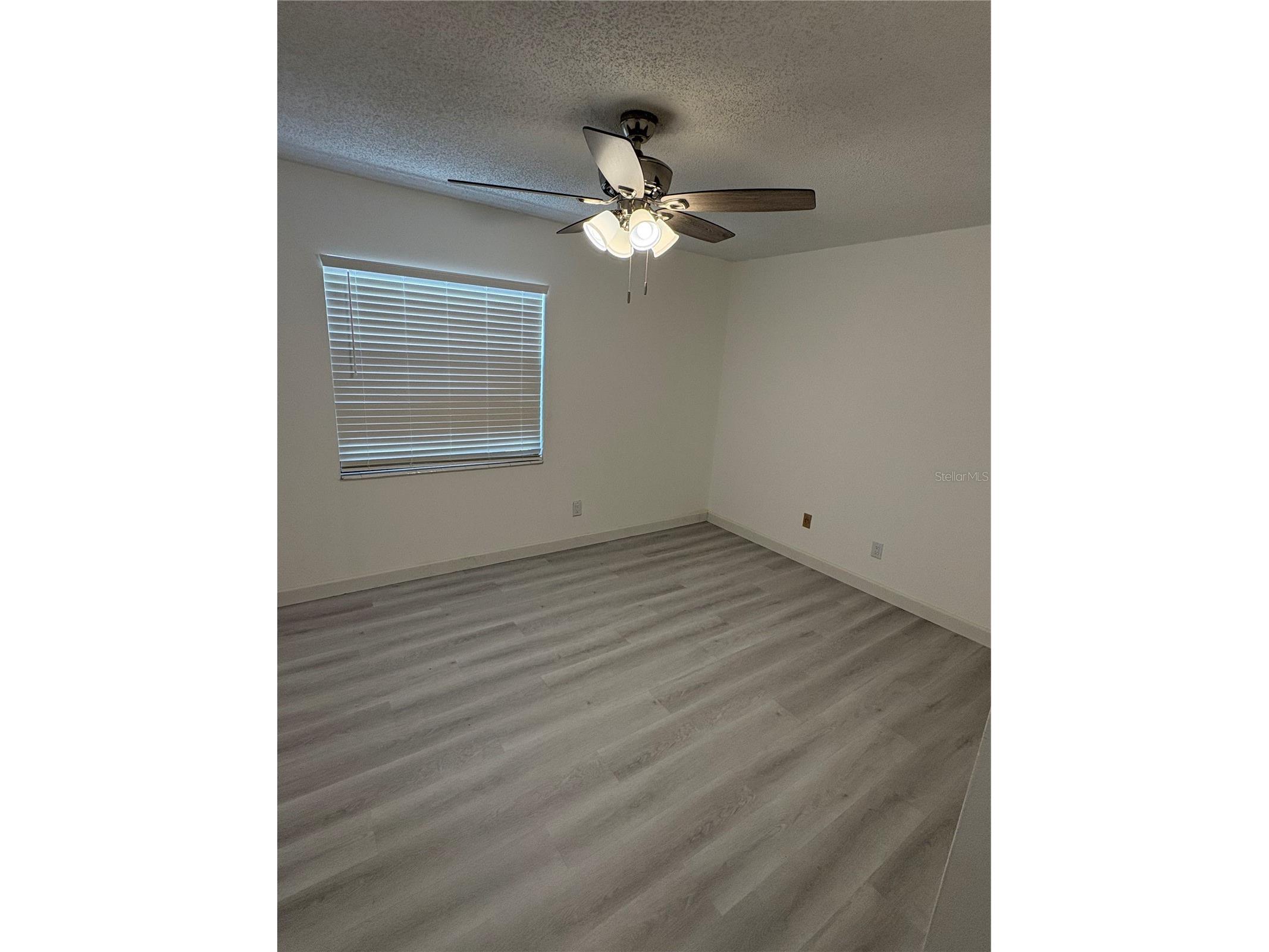 7981 Smoketree Court Largo FL 33773 TB8506946 image7