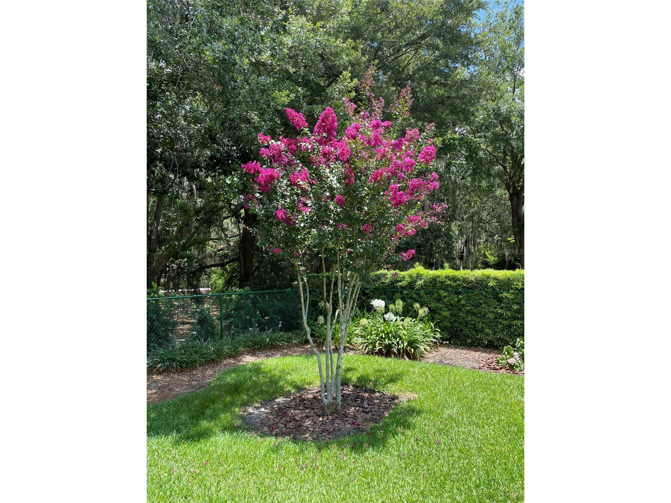 7981 SW 81st Loop Ocala FL 34476 OM726330 image35