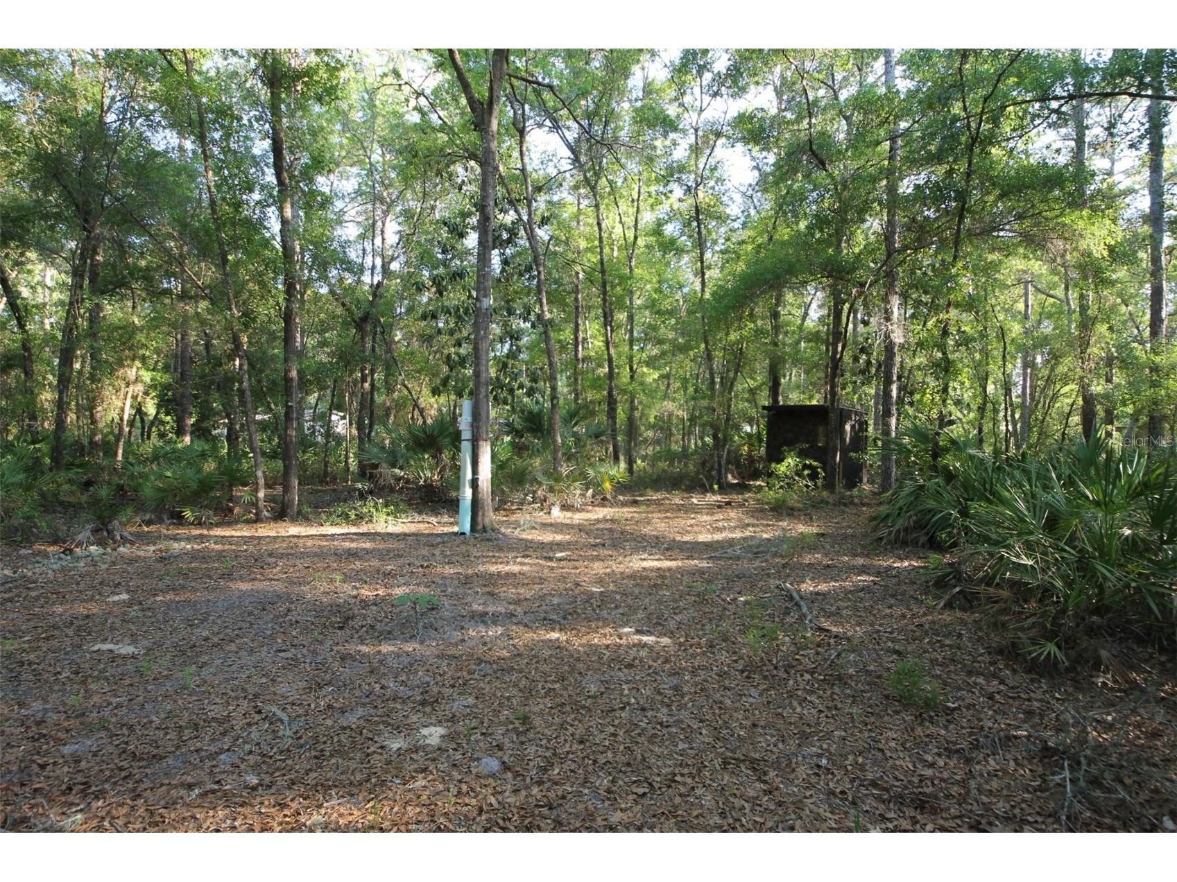 7982 W Mayfair Drive Homosassa FL 34448 W7885435 image1
