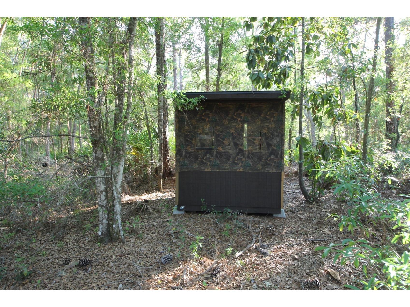 7982 W Mayfair Drive Homosassa FL 34448 W7885435 image2