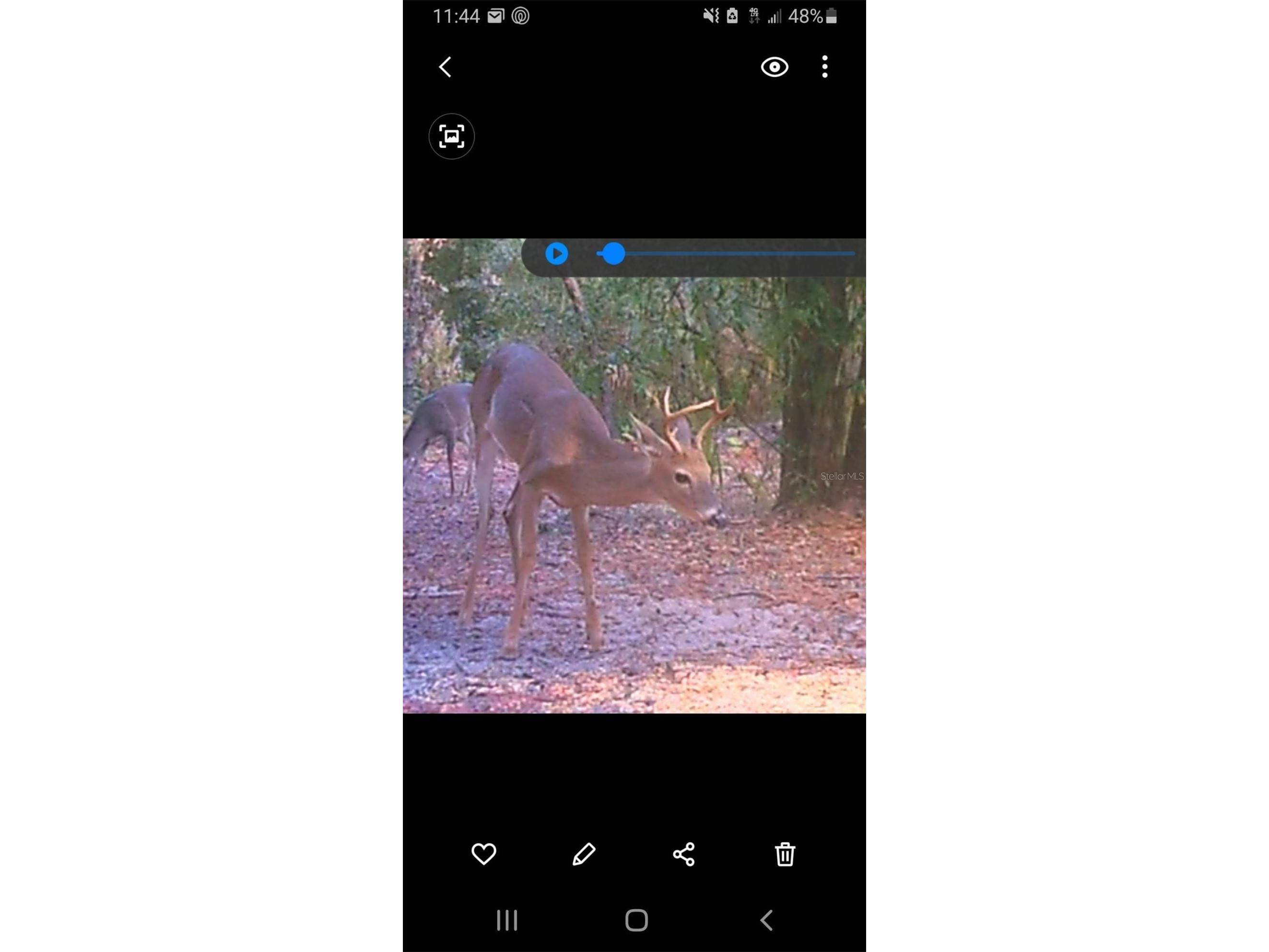 7982 W Mayfair Drive Homosassa FL 34448 W7885435 image3