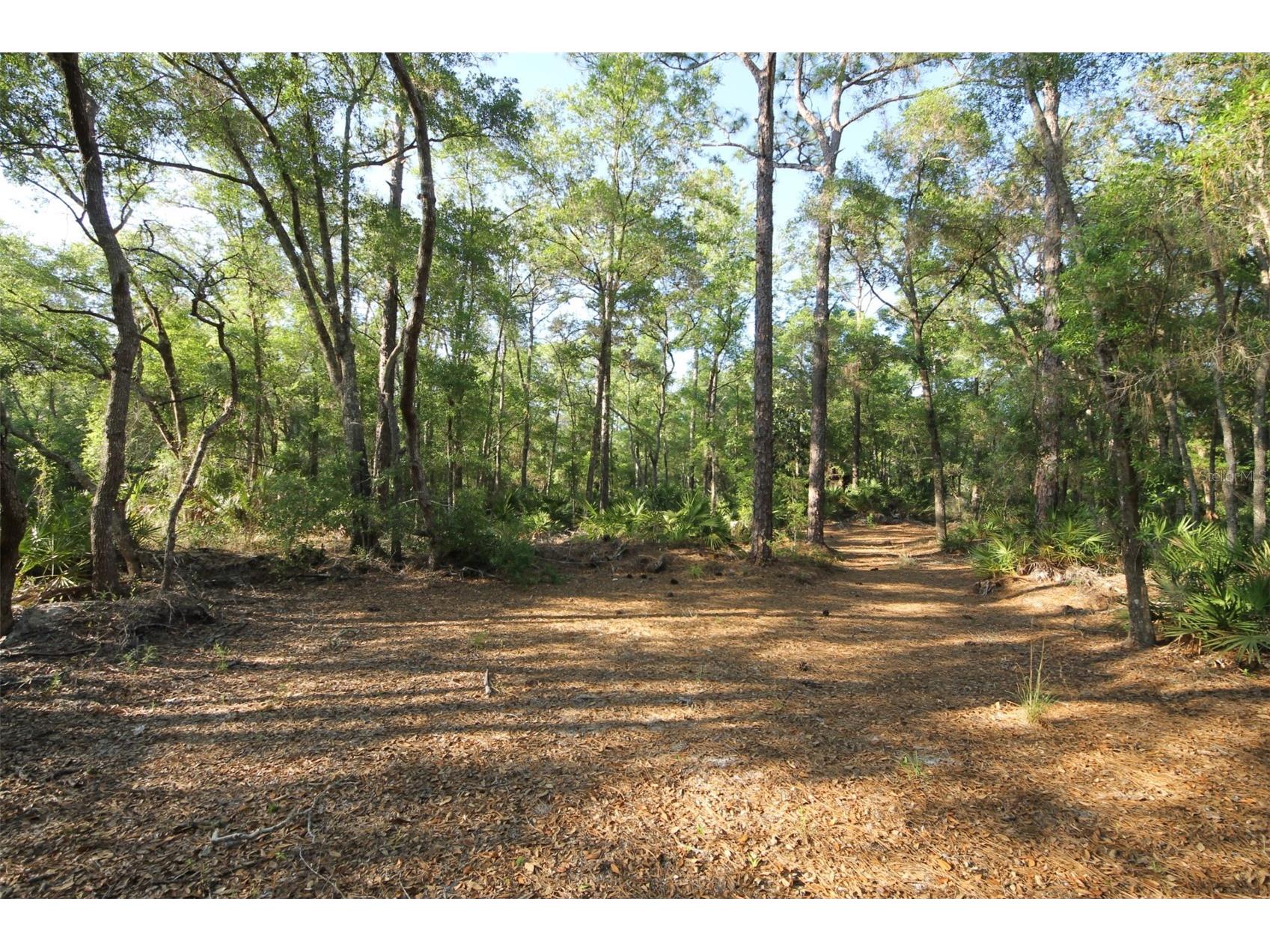 7982 W Mayfair Drive Homosassa FL 34448 W7885435 image6