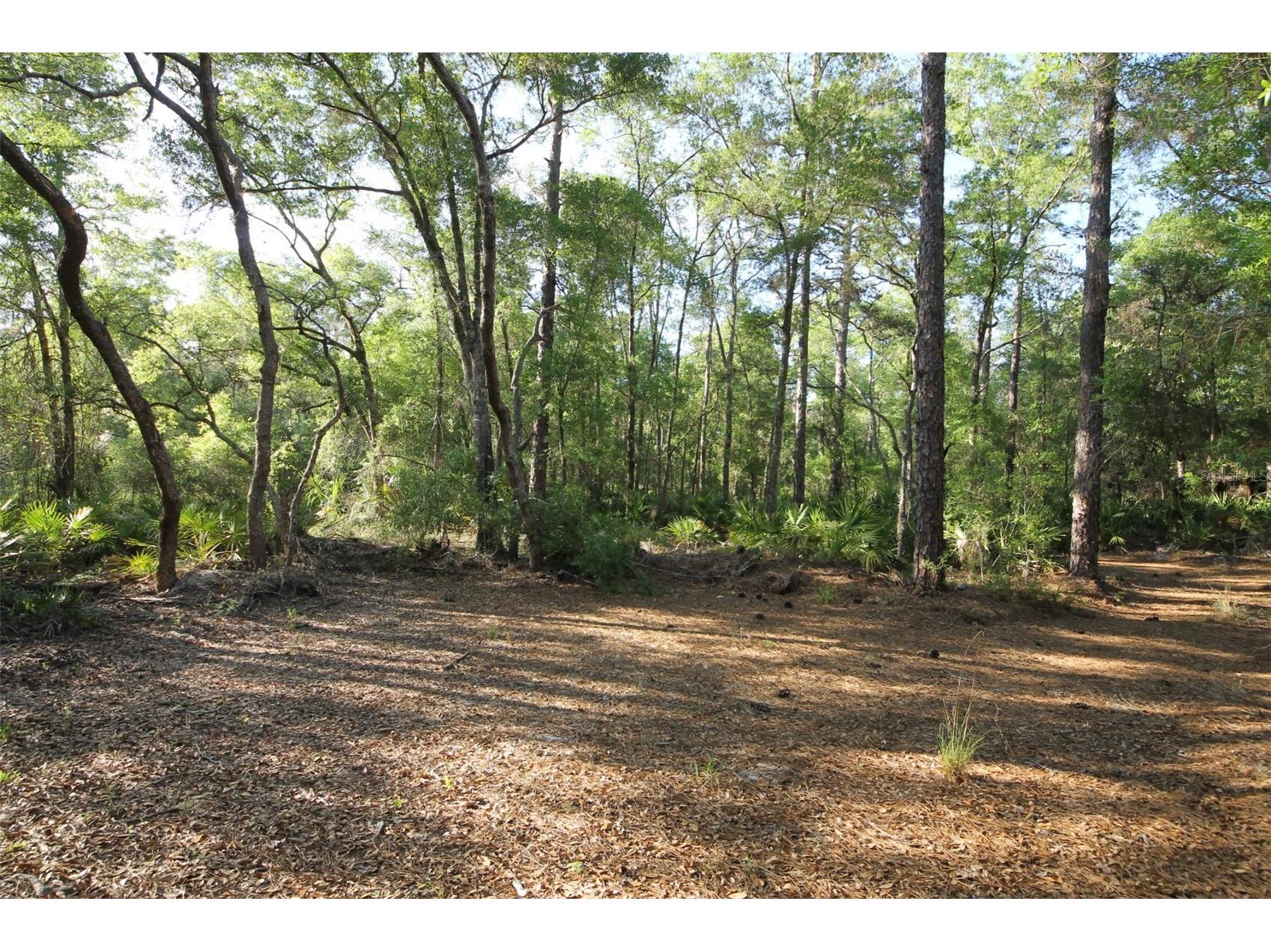 7982 W Mayfair Drive Homosassa FL 34448 W7885435 image7