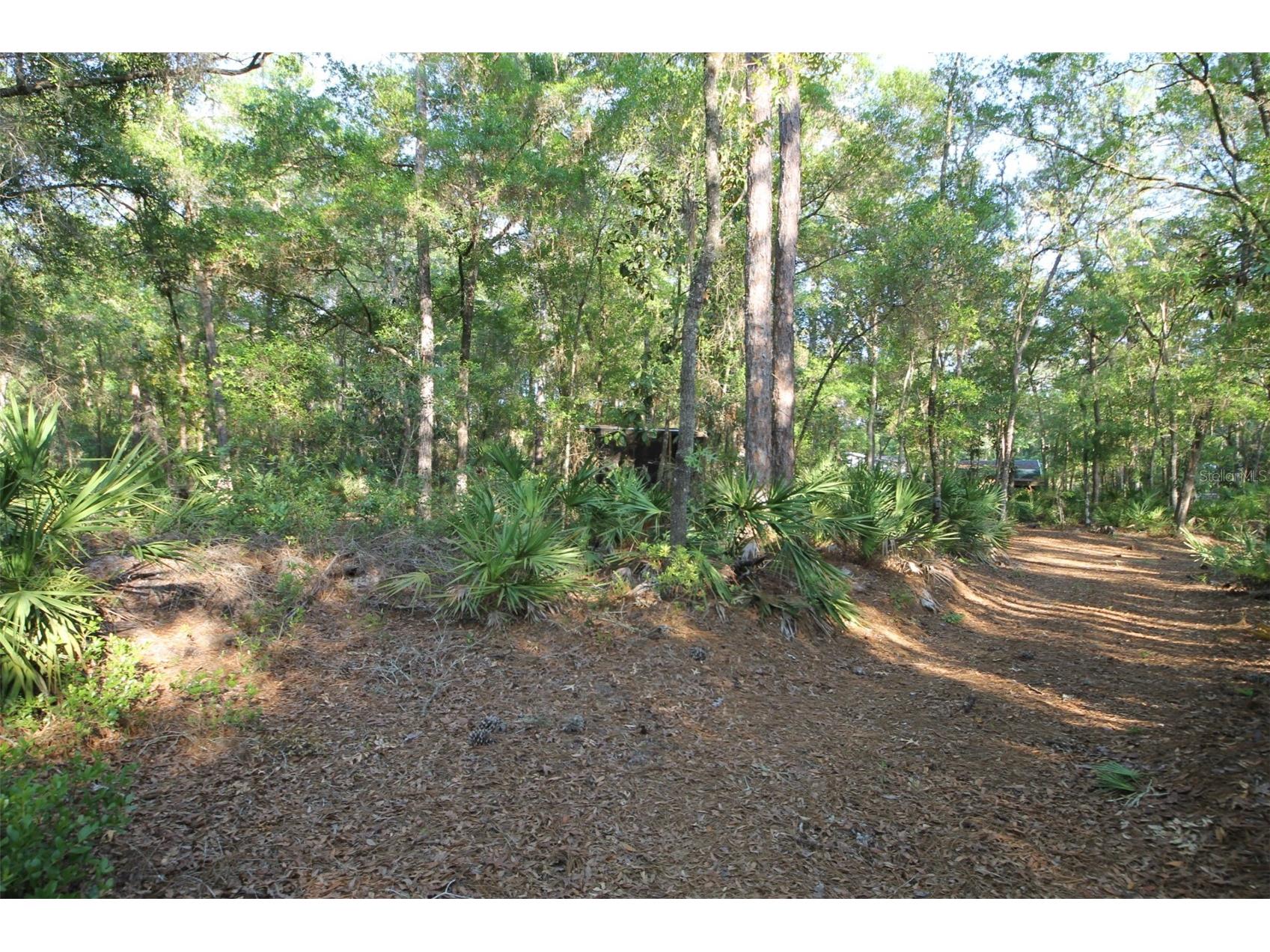 7982 W Mayfair Drive Homosassa FL 34448 W7885435 image8