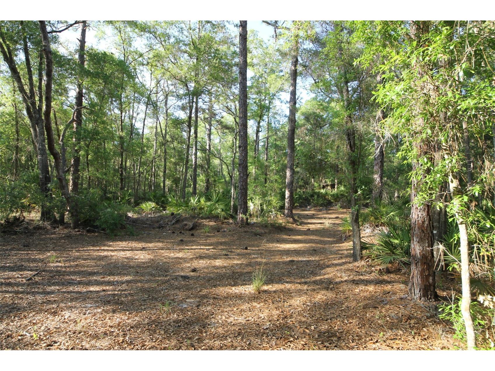 7982 W Mayfair Drive Homosassa FL 34448 W7885435 image9