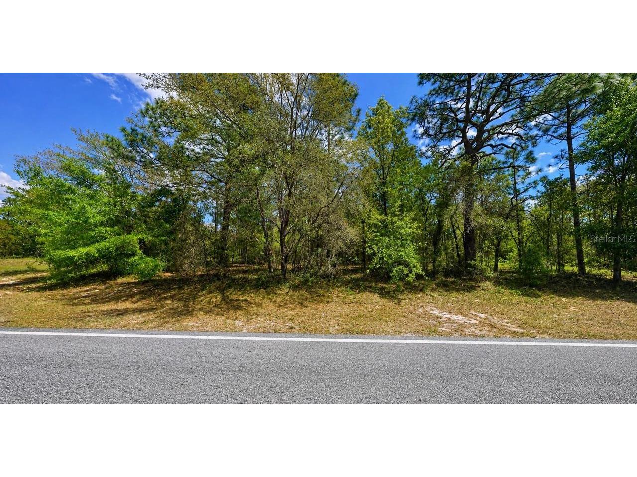 7983 N Santos Drive Citrus Springs FL 34434 O6410259 image2