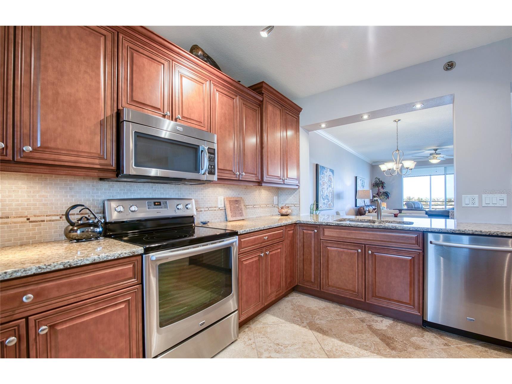 7984 Sailboat Key Boulevard S #502 South Pasadena FL 33707 TB8490446 image12