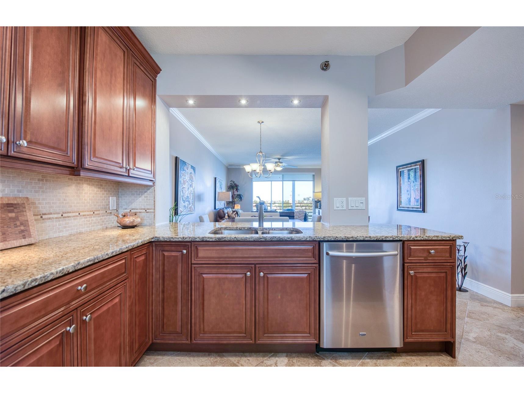 7984 Sailboat Key Boulevard S #502 South Pasadena FL 33707 TB8490446 image13