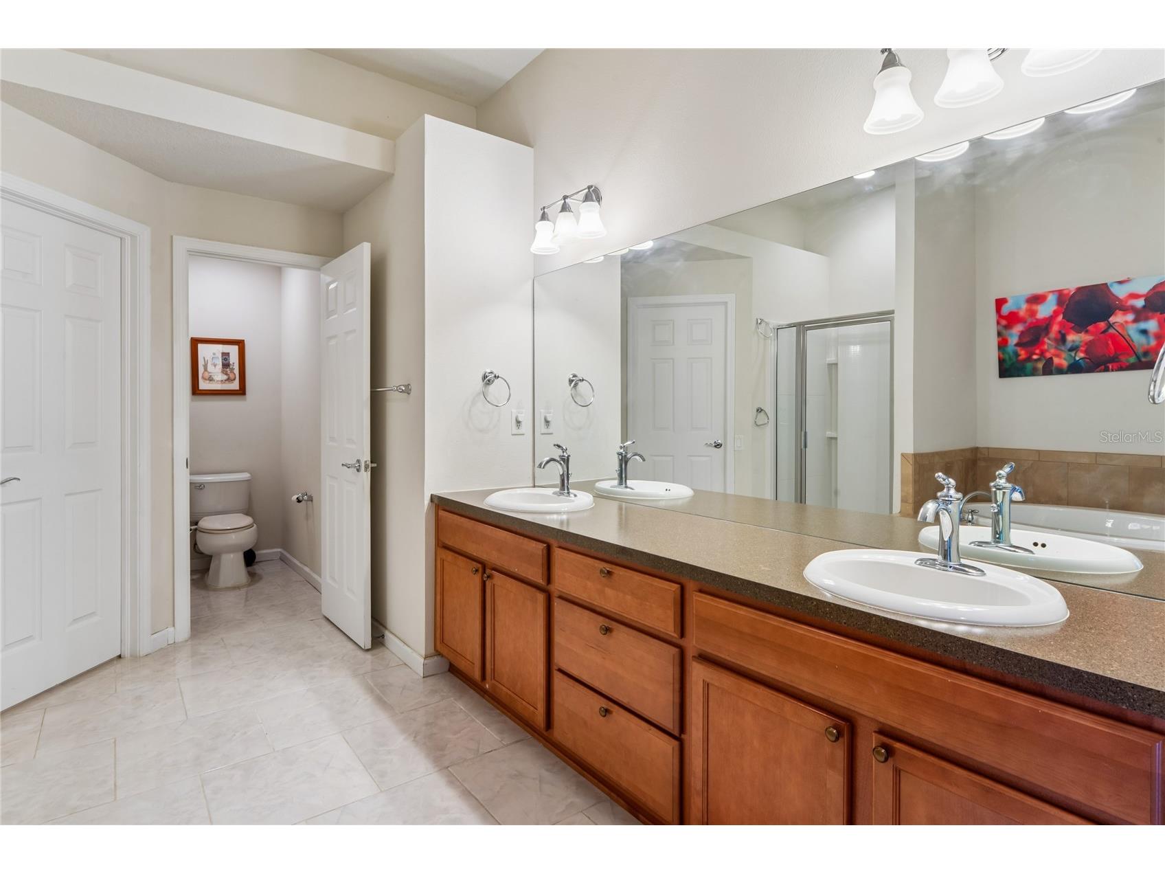 799 Alpine Thistle Drive Brooksville FL 34604 TB8512494 image31