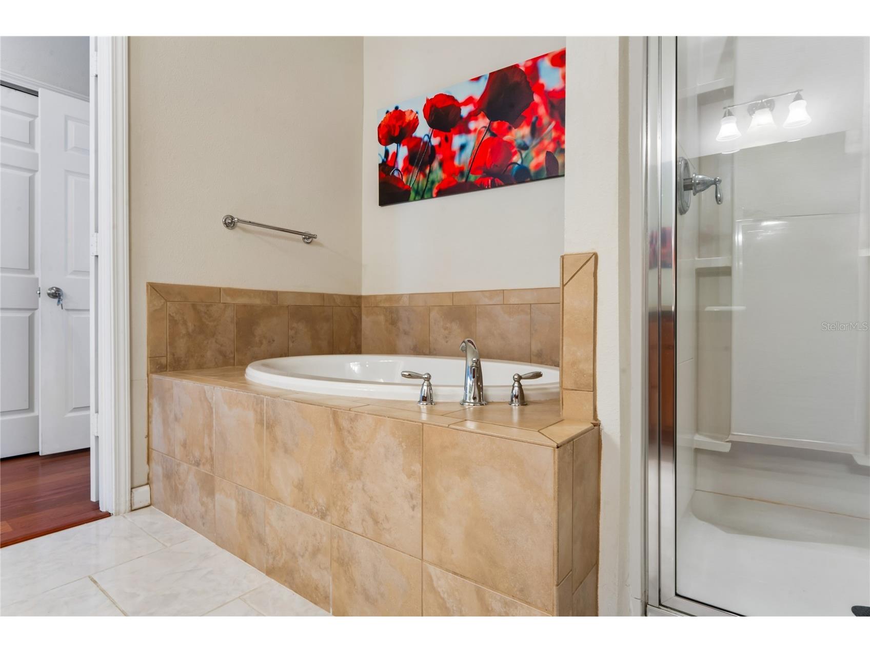 799 Alpine Thistle Drive Brooksville FL 34604 TB8512494 image34