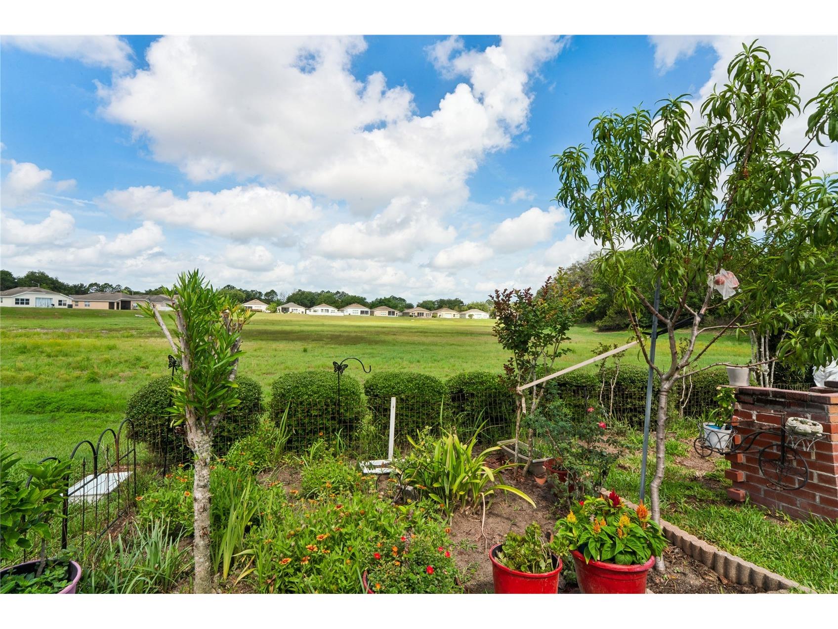 799 Alpine Thistle Drive Brooksville FL 34604 TB8512494 image56