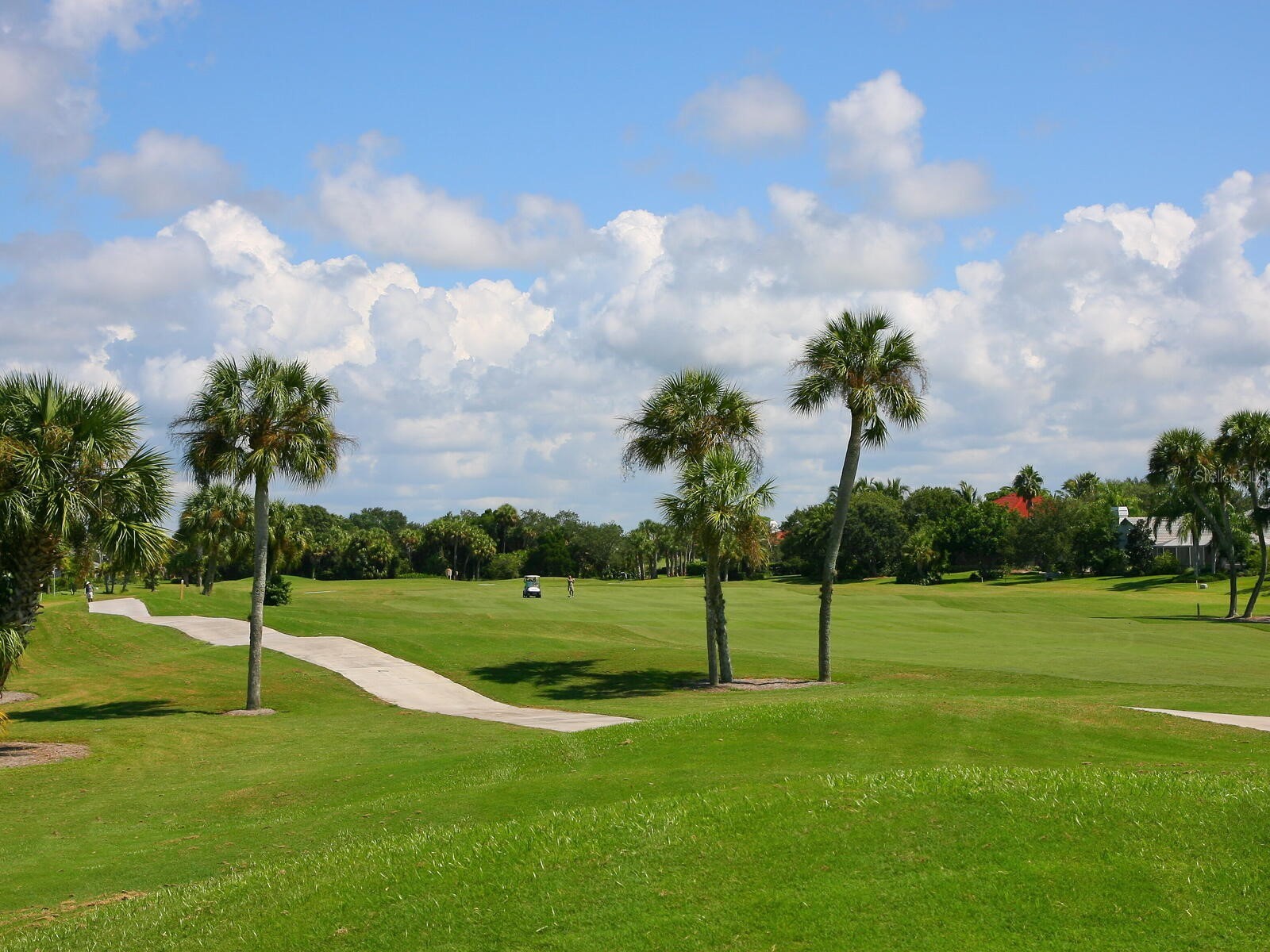 799 Harrington Lake Drive N #73 Venice FL 34293 A4666734 image36