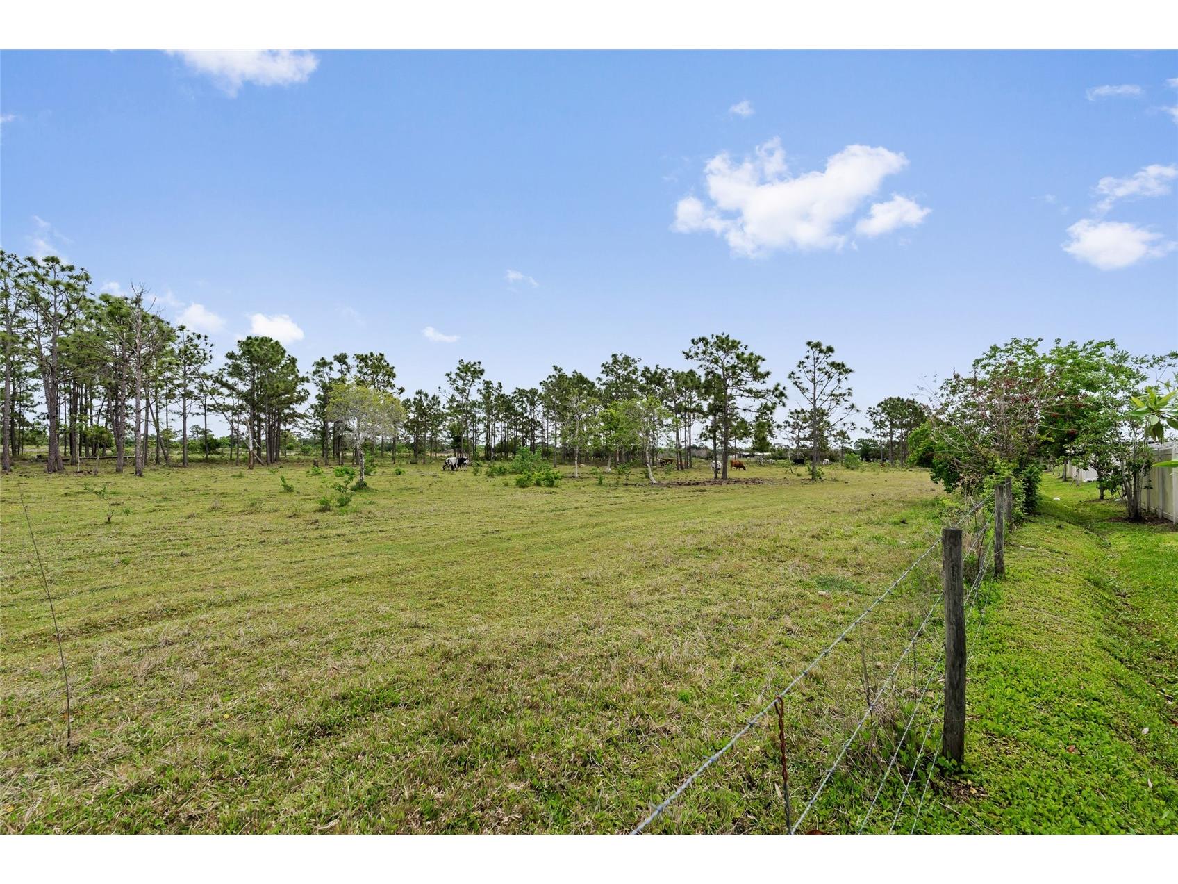 799 Hitch Loop Saint Cloud FL 34772 O6402939 image31