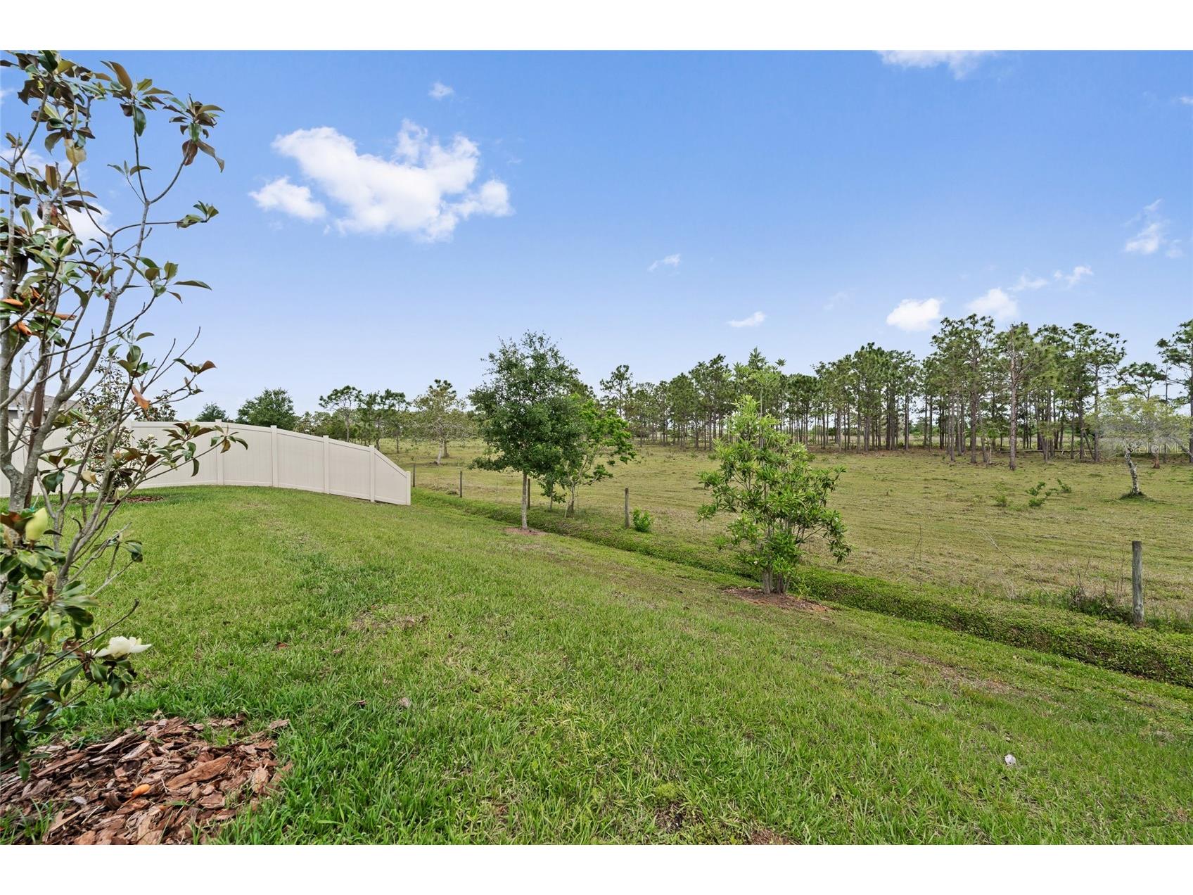 799 Hitch Loop Saint Cloud FL 34772 O6402939 image32