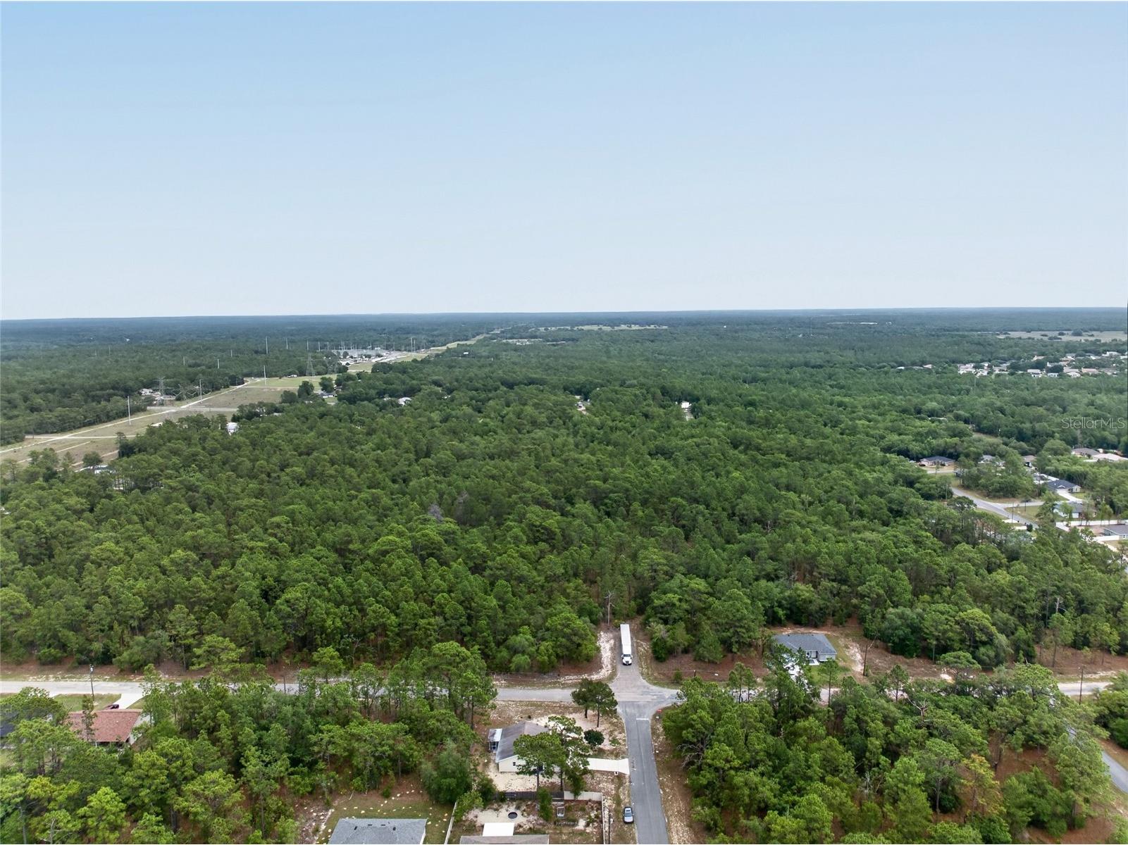 799 W Wycliffe Lane Citrus Springs FL 34434 TB8506790 image39