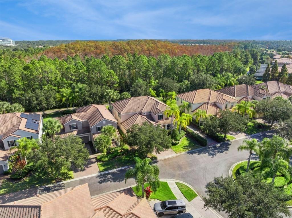7991 Esta Lane Orlando FL 32827 O6365393 image2