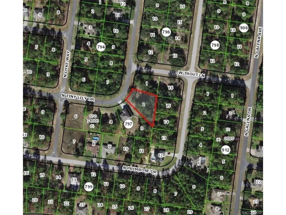 7991 N Tiny Lily Drive Citrus Springs FL 34434 TB8327305 image1