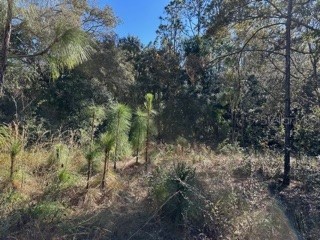 7991 N Tiny Lily Drive Citrus Springs FL 34434 TB8327305 image3