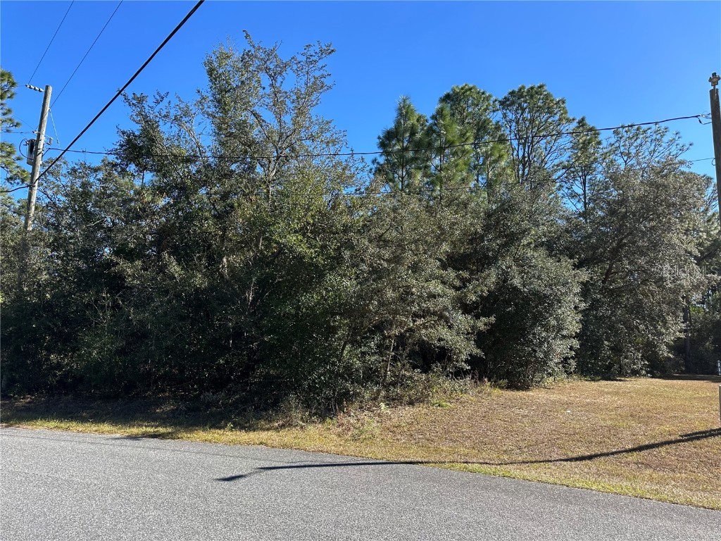 7991 N Tiny Lily Drive Citrus Springs FL 34434 TB8327305 image6