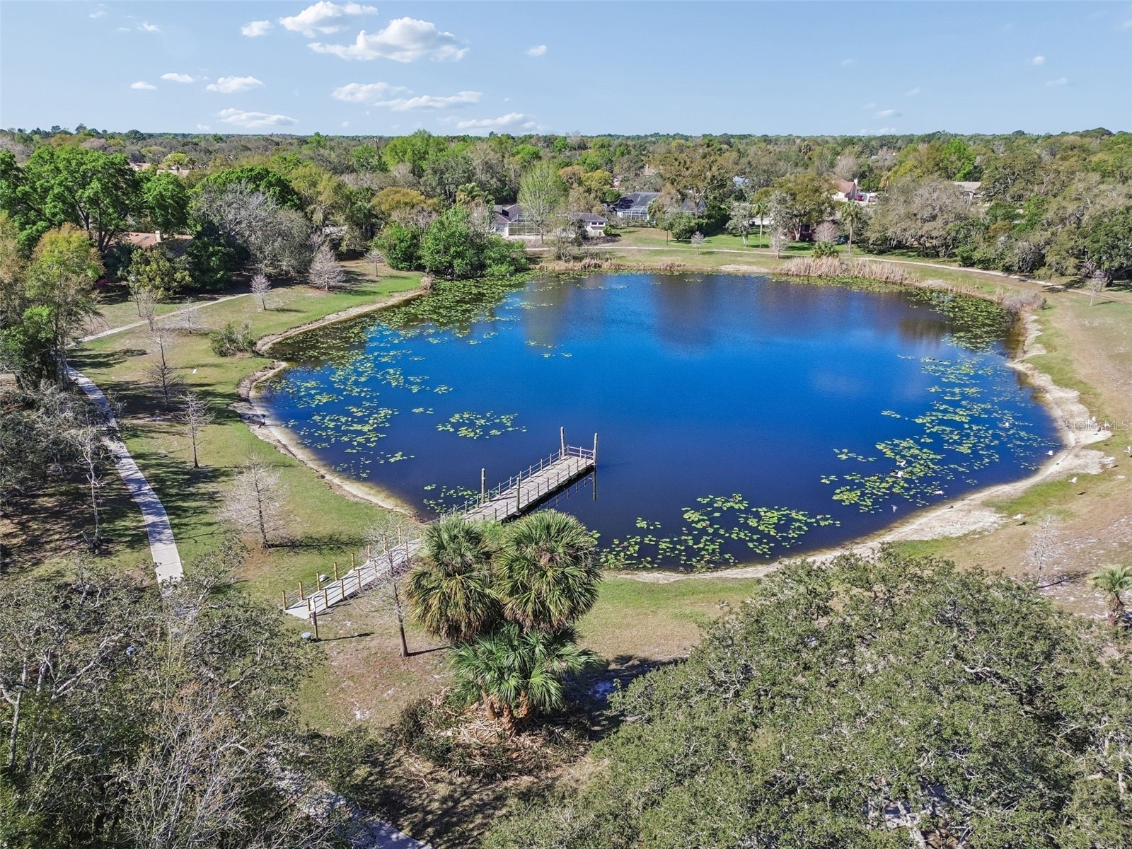 7995 Chaucer Drive Weeki Wachee FL 34607 TB8487343 image60