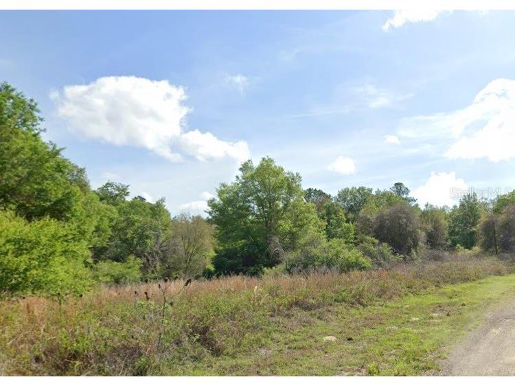 7995 N Walton Terrace Dunnellon FL 34434 TB8517116 image1
