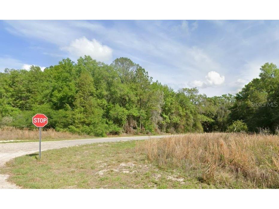 7995 N Walton Terrace Dunnellon FL 34434 TB8517116 image2