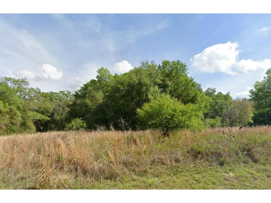 7995 N Walton Terrace Dunnellon FL 34434 TB8517116 image3