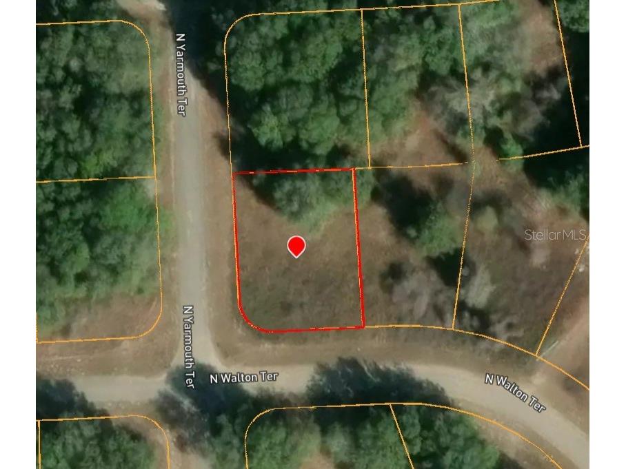 7995 N Walton Terrace Dunnellon FL 34434 TB8517116 image4