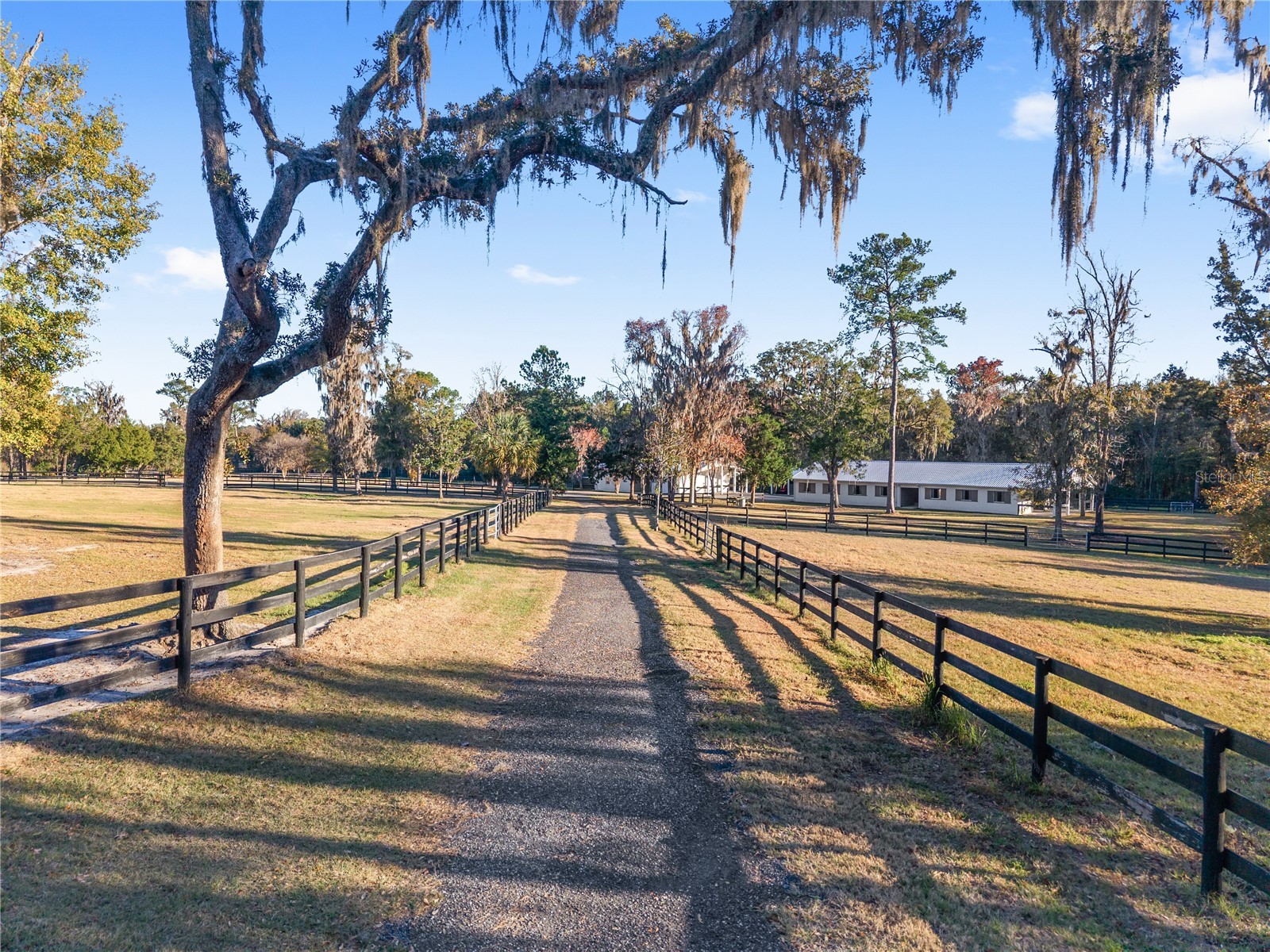 7997 NW 90th Avenue Ocala FL 34482 O6375750 image2