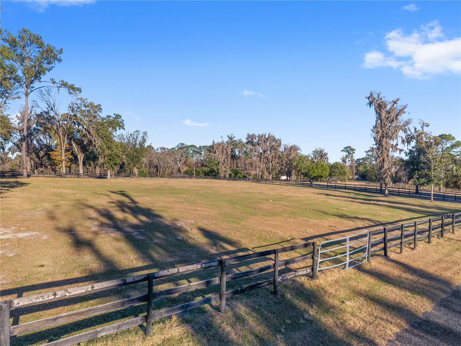 7997 NW 90th Avenue Ocala FL 34482 O6375750 image47