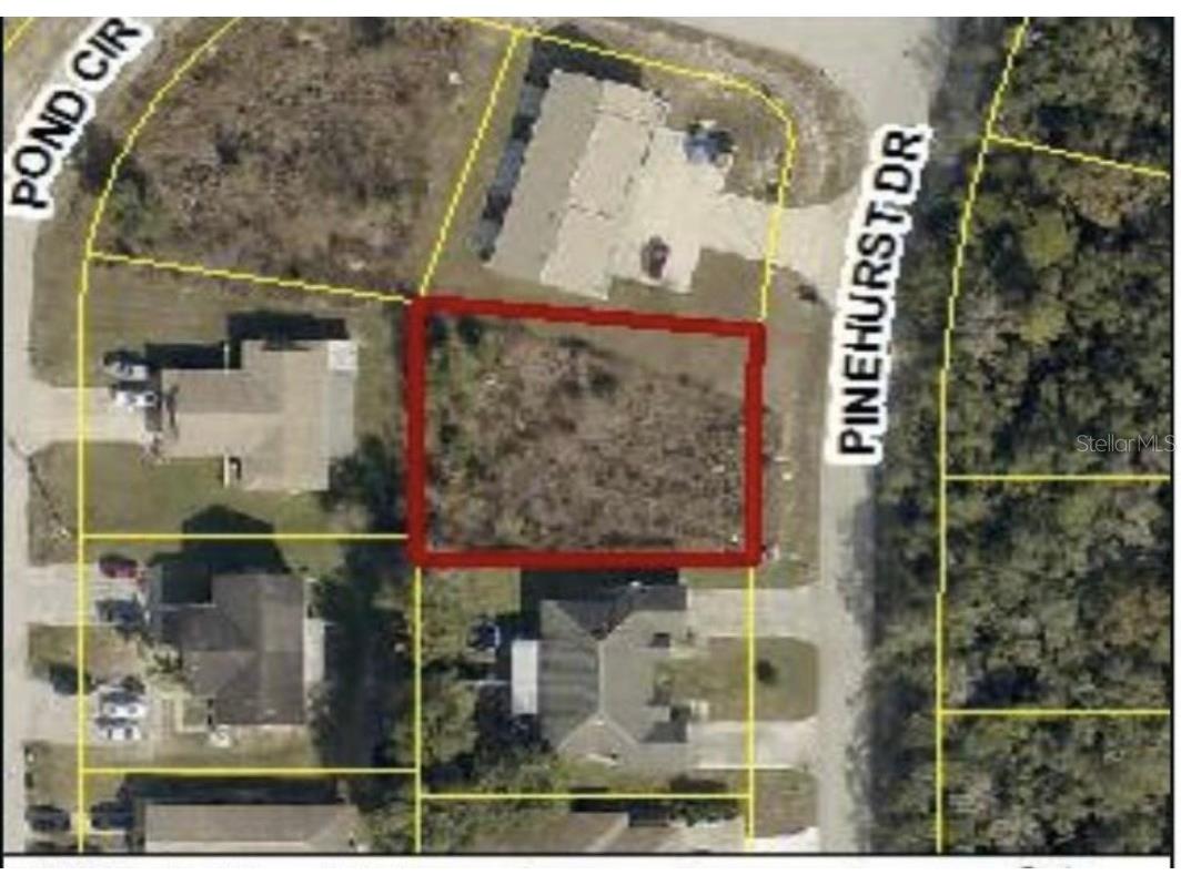 7997 Pinehurst Drive Spring Hill FL 34606 T3537026 image2